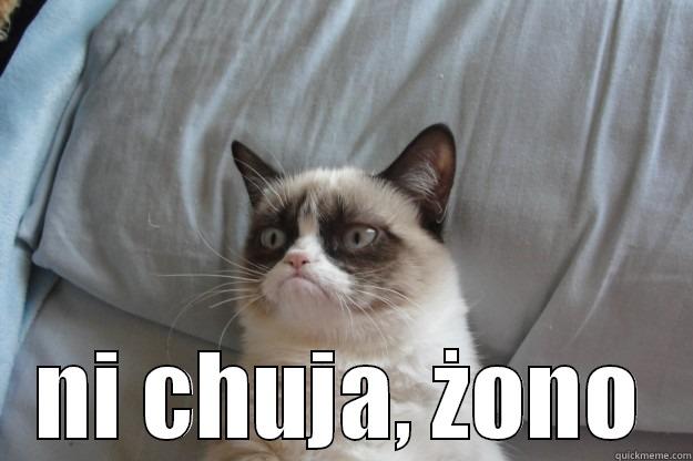  NI CHUJA, ŻONO Grumpy Cat