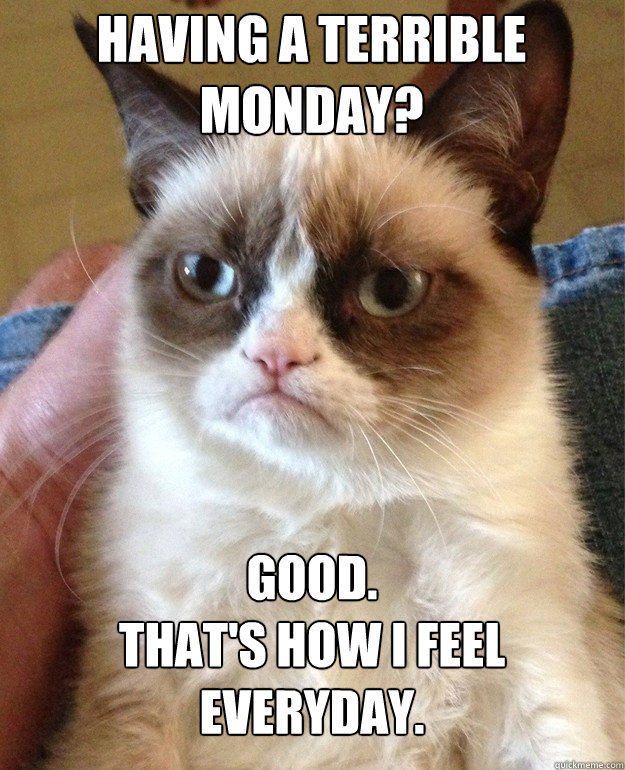 Having a terrible monday? Good.
That's how I feel everyday.  Grumpy Cat