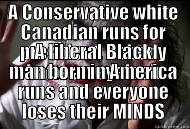 A CONSERVATIVE WHITE CANADIAN RUNS FOR PRESIDENT, NOBODY BATTS AN EYELASH A LIBERAL BLACK MAN BORN IN AMERICA RUNS AND EVERYONE LOSES THEIR MINDS Misc