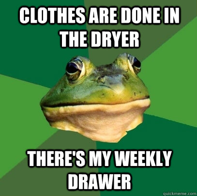 clothes are done in the dryer there's my weekly drawer - clothes are done in the dryer there's my weekly drawer  Foul Bachelor Frog