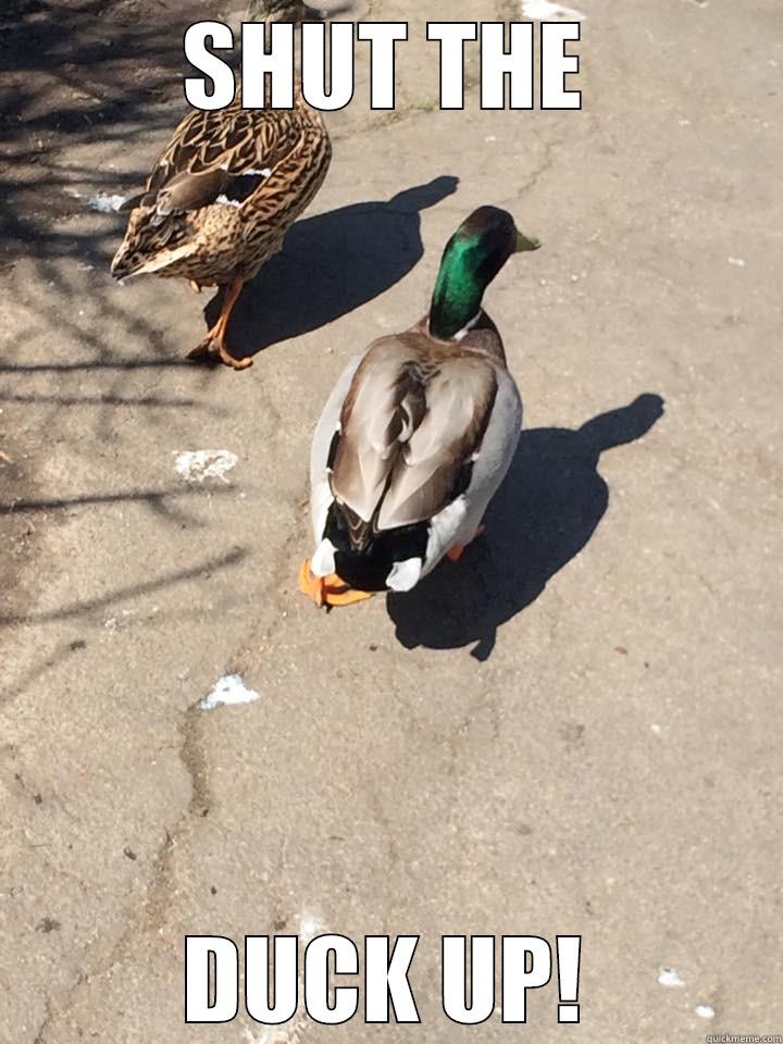 SHUT THE DUCK UP! - SHUT THE DUCK UP! Misc