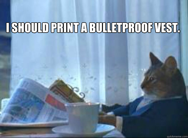 I should print a bulletproof vest. 
  I should buy a boat cat