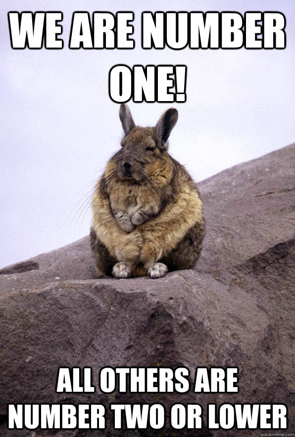 We are number one! All others are number two or lower  Wise Wondering Viscacha