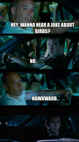 Hey, wanna hear a joke about birds? No. Hawkward.  Fast and Furious