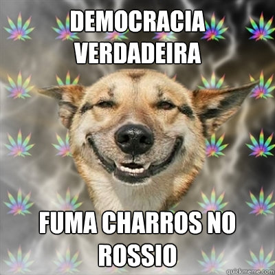 democracia verdadeira Fuma charros no rossio  Stoner Dog