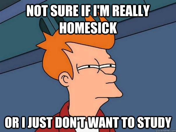 Not sure if I'm really homesick Or I just don't want to study   Futurama Fry