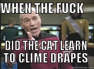 No longer safe in own home - WHEN THE FUCK     DID THE CAT LEARN TO CLIME DRAPES Annoyed Picard