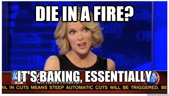 Die in a fire? It's baking, essentially  Megyn Kelly