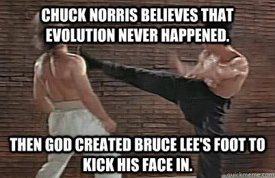 Chuck Norris believes that Evolution never happened. Then God created Bruce Lee's foot to kick his face in.  Bruce Lee vs Chuck Norris