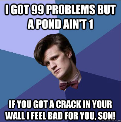 I got 99 problems but a Pond ain't 1 If you got a crack in your wall I feel bad for you, son!  Doctor Who - Matt Smith