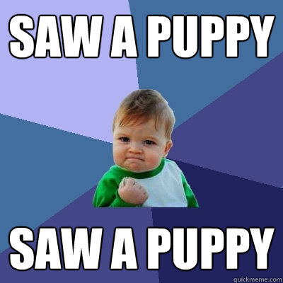 Saw a puppy saw a puppy  Success Kid