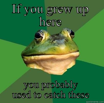 Duck Dynasty ain't got shit on us! - IF YOU GREW UP HERE YOU PROBABLY USED TO CATCH THESE Foul Bachelor Frog