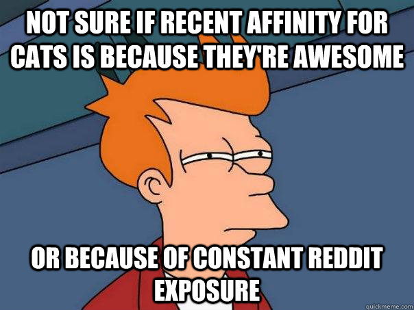 Not sure if recent affinity for cats is because they're awesome Or because of constant reddit exposure  Futurama Fry