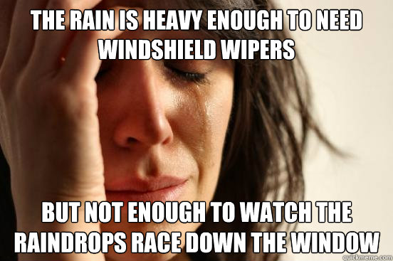 The Rain is heavy enough to need windshield wipers but not enough to watch the raindrops race down the window  First World Problems