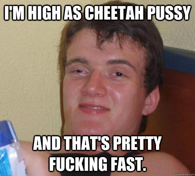 I'm high as cheetah pussy And that's pretty fucking fast. - I'm high as cheetah pussy And that's pretty fucking fast.  10 Guy