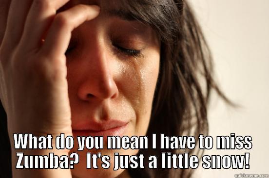  WHAT DO YOU MEAN I HAVE TO MISS ZUMBA?  IT'S JUST A LITTLE SNOW! First World Problems