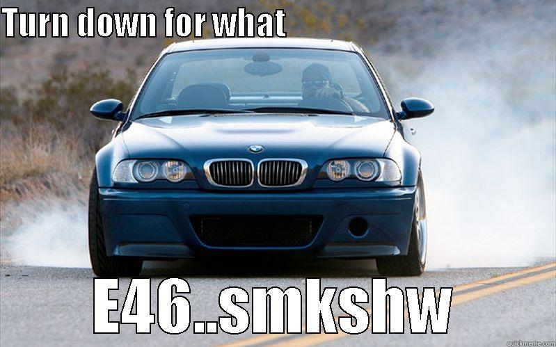 E46  - TURN DOWN FOR WHAT                                            E46..SMKSHW Misc