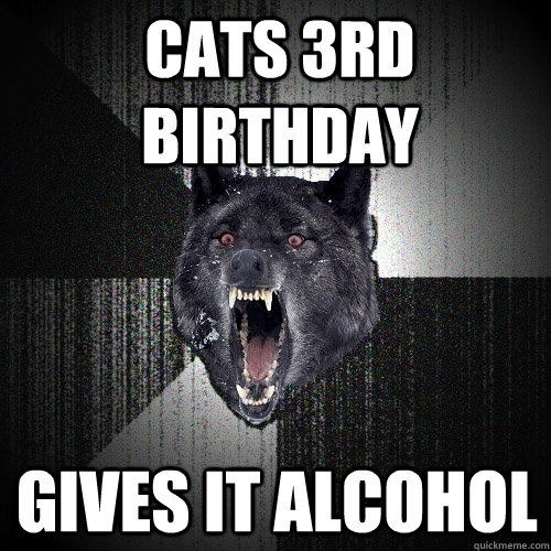 cats 3rd birthday gives it alcohol  Insanity Wolf