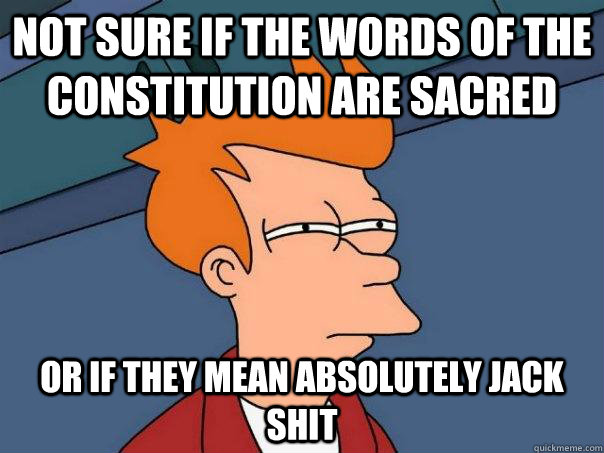 Not sure if the words of the Constitution are sacred or if they mean absolutely jack shit  Futurama Fry