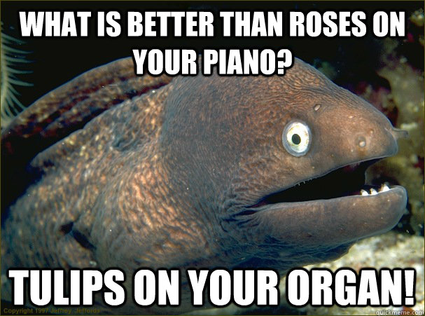 What is better than roses on your piano? Tulips on your organ! - What is better than roses on your piano? Tulips on your organ!  Bad Joke Eel