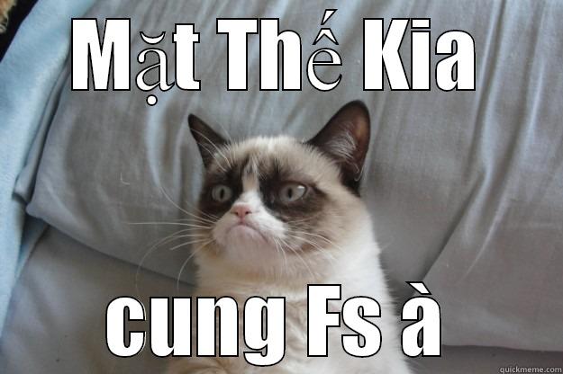 MẶT THẾ KIA CUNG FS À Grumpy Cat