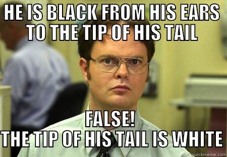 He is black from his ears to the tip of his tail.  False!  The tip of his tail is white. - HE IS BLACK FROM HIS EARS TO THE TIP OF HIS TAIL FALSE!  THE TIP OF HIS TAIL IS WHITE Schrute