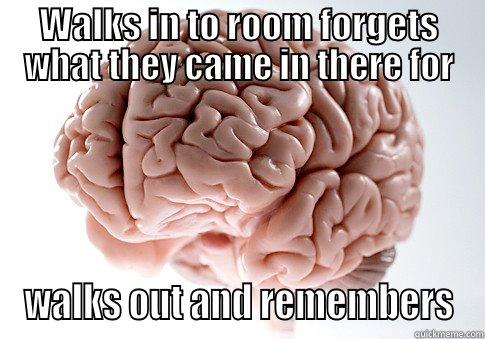 WALKS IN TO ROOM FORGETS WHAT THEY CAME IN THERE FOR WALKS OUT AND REMEMBERS Scumbag Brain