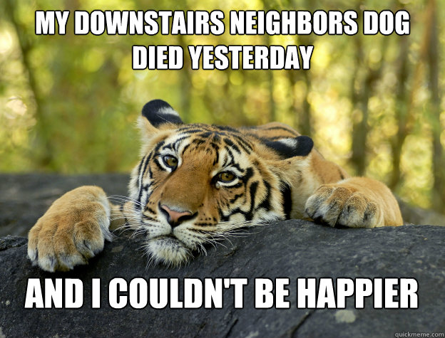 My downstairs neighbors dog died yesterday and I couldn't be happier  Confession Tiger