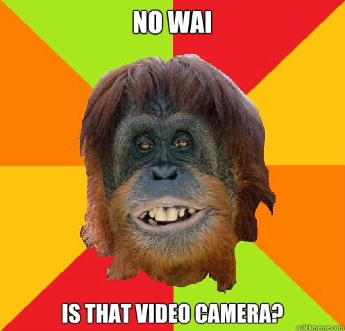 no wai  is that video camera?  Culturally Oblivious Orangutan