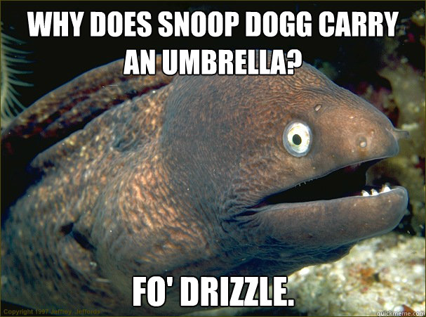 Why does snoop dogg carry an umbrella? fo' drizzle.  Bad Joke Eel