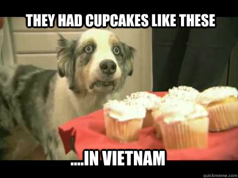 they had cupcakes like these  ....in vietnam  cupcake dog