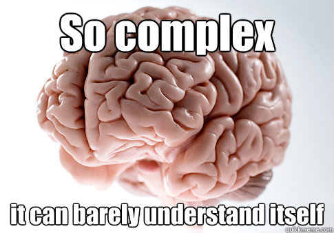 So complex it can barely understand itself   Scumbag Brain