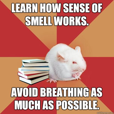 Learn how sense of smell works. Avoid breathing as much as possible. - Learn how sense of smell works. Avoid breathing as much as possible.  Science Major Mouse