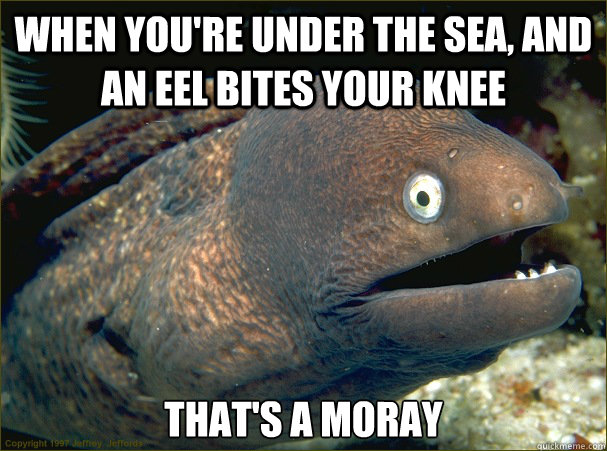 When you're under the sea, and an eel bites your knee That's a moray  Bad Joke Eel