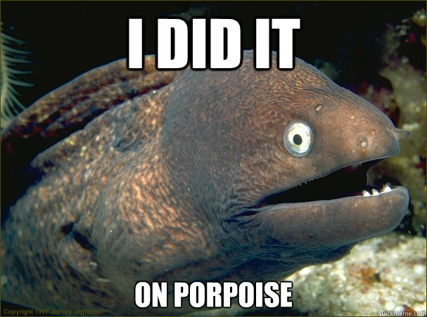 I did it On porpoise  Bad Joke Eel