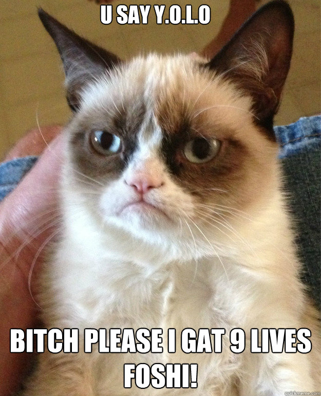 u say Y.O.L.O  BITCH PLEASE I GAT 9 LIVES FOSHI!  Grumpy Cat