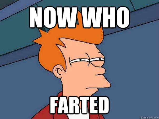 Now who farted  Futurama Fry