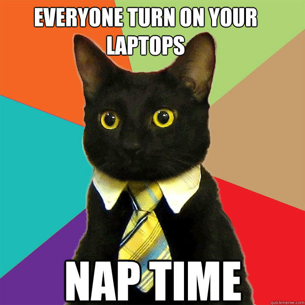 Everyone turn on your laptops nap time  
