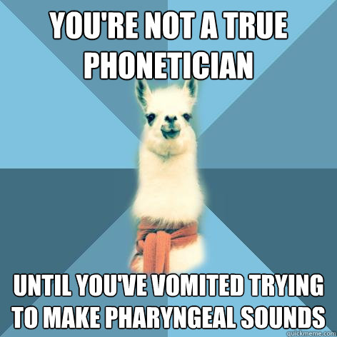 You're not a true phonetician until you've vomited trying to make pharyngeal sounds  