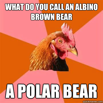 What do you call an albino brown bear a polar bear - What do you call an albino brown bear a polar bear  Anti-Joke Chicken