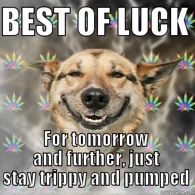 BEST OF LUCK  FOR TOMORROW AND FURTHER, JUST STAY TRIPPY AND PUMPED Stoner Dog