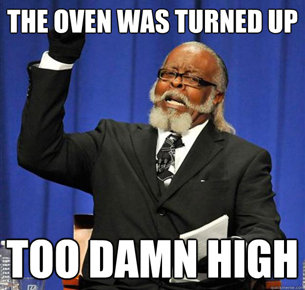 the oven was turned up too damn high - the oven was turned up too damn high  Jimmy McMillan