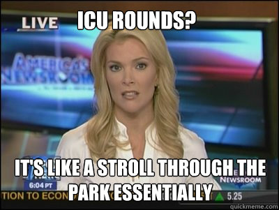 ICU rounds? It's like a stroll through the park essentially  Megyn Kelly