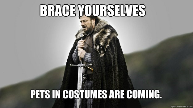 Brace yourselves Pets in Costumes are coming.  