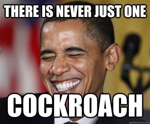 There is never just one cockroach  Scumbag Obama