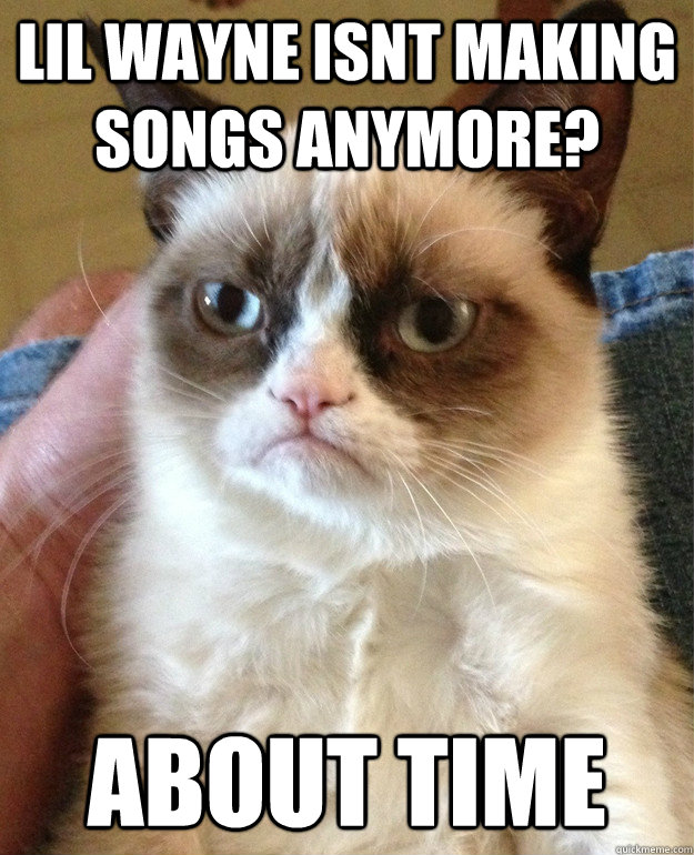 lil wayne isnt making songs anymore? About time  Grumpy Cat