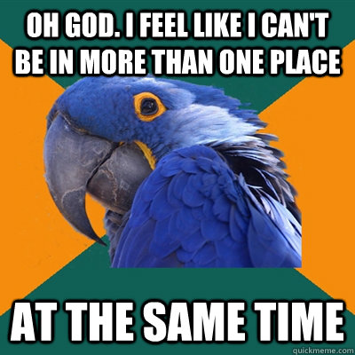 OH GOD. I FEEL LIKE I CAN'T BE IN MORE THAN ONE PLACE AT THE SAME TIME  Paranoid Parrot