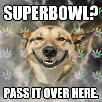 SUPERBOWL? Pass it over here.  Stoner Dog