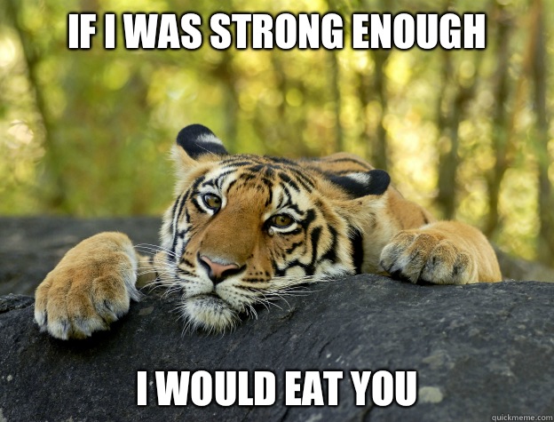 If I was strong enough I would eat you  Confession Tiger