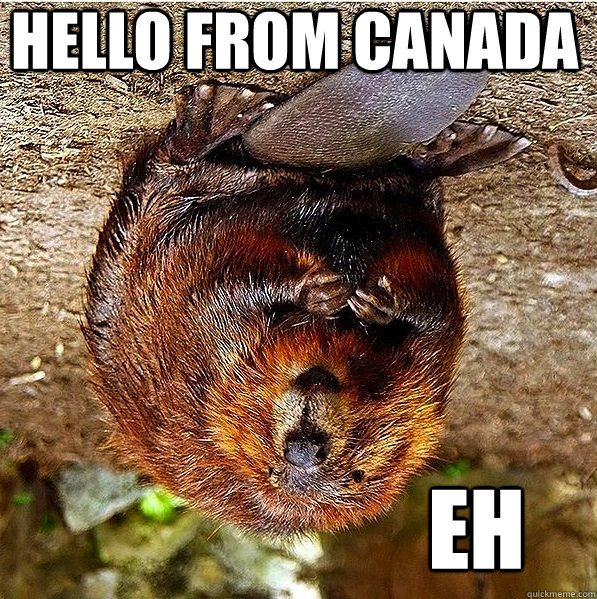 HELLO FROM CANADA EH - HELLO FROM CANADA EH  The Beaver from Down Under